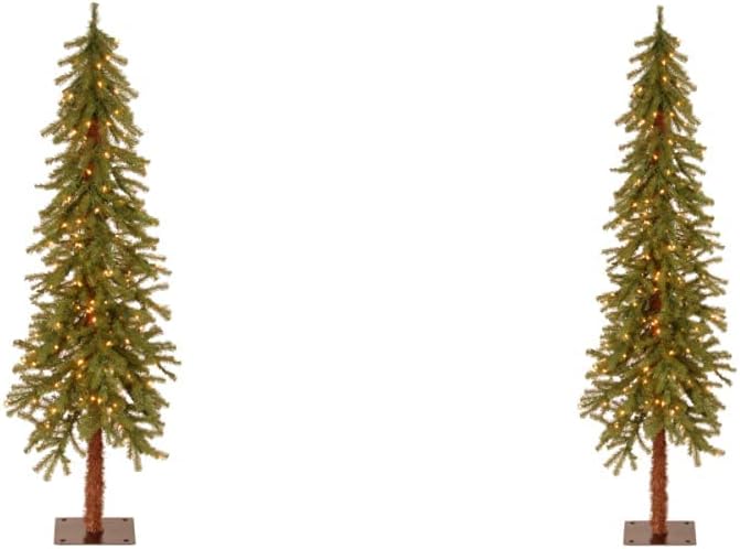 National Tree Company Pre-lit Artificial Christmas Tree | Includes Pre-strung White Lights | Hickory Cedar - 3 ft