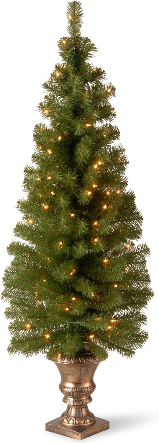 National Tree Company Pre-lit Artificial Tree For Entrances and Christmas| Includes Pre-strung White Lights | Montclair Spruce - 4 ft, Black/Gold