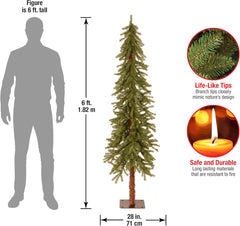 National Tree Company Artificial Christmas Tree | Hickory Cedar - 5 ft