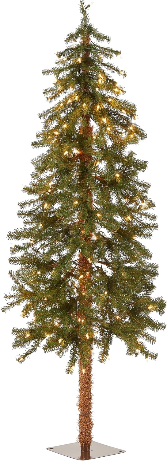 National Tree Company Pre-lit Artificial Christmas Tree | Includes Pre-strung White Lights | Hickory Cedar - 3 ft