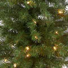 National Tree Company Pre-lit Artificial Tree For Entrances and Christmas| Includes Pre-strung White Lights | Montclair Spruce - 4 ft, Black/Gold